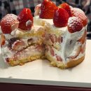 강남(205) | 신세계 강남 키친205 딸기케이크 주말 오픈런 후기 (2026.02 캐치테이블X)