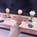 2025 올리브영 페스타 닥터포헤어 어노브 부스 노들섬 올영 페스타 후기
