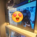 아라코인노래연습장 이미지