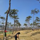 파크골프장 이미지