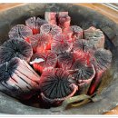 백제갈비 이미지