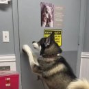 문 동물병원 이미지