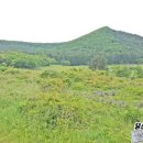 효명목장 이미지