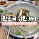 닭이랑전이랑 | 종로 삼계탕 맛집 | 한민국 닭한마리 솔직후기