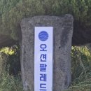 오션팔레드 | 제주도 바다 보이는 오션팔레드 스탠다드 패밀리 트윈룸 후기