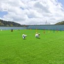 퍼피그램 이미지