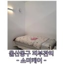 소미케어 이미지