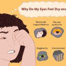 눈 이물감 가려움 원인 치료, 눈 안쪽 염증 눈에 이물질 들어갔을때 이미지