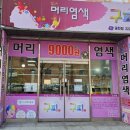 구피샵청주 이미지