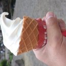 미나목장 이미지