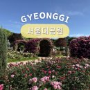6월 꽃축제 서울 근교 꽃구경 과천 서울대공원 장미원 입장료 카페