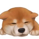 제이케이랩 이미지