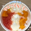 주)대명특장차 | [요거트월드] 상하이 디저트 양쯔간루 요월데이 반값 내돈내산 후기