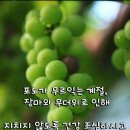 행복한하루 이미지