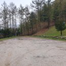 치악산자연휴양림 | 백만 년 전에 방문했던 치악산 자연휴양림 &amp; 신촌막국수 옹심이 후기