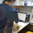 광덕면사무소 이미지