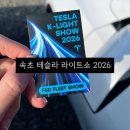 담안말1천 | 테슬라 라이트쇼 2026ㅣ강원도 속초에서 즐긴 우리의 두 번째 라이트쇼