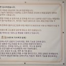 유정이네봉평막국수