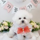 루앤몽 이미지