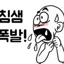 금성정육점 이미지