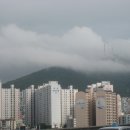 대교삼계탕