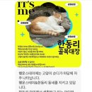 제주 행운 스테이 구좌 독채 신상 숙소 내돈내산