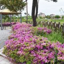 지사울공원 이미지