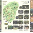 녹차분재로 이미지