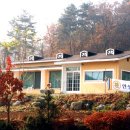 안성퓨전 이미지