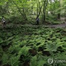 경진지하수