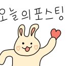 숙이네막창뒷고기 이미지