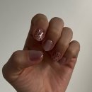 비마이문 이미지