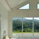 제천 펫택시 | [숙소|충북 단양,제천] 단양 신상 감성숙소, 독채 풀빌라 “논논스테이”(스압주의)