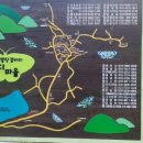 평지못(1) 이미지