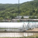 싱싱팜농장 이미지