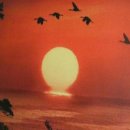 한울소리 이미지