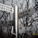 제일농원 - 안산시 단원구 대선로 685 | 제일농원