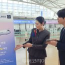 대가야 카 써비스 이미지