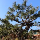 외포리버스터미널 이미지