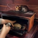 유성 | [대전쑥뜸] 대전디톡스 쑥뜸천하 유성점 후기