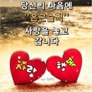 사랑 / 원성스님 이미지