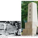 소금나루도서관 이미지