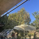 테라스의 아침 이미지