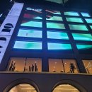 런 클럽 | 라이브 공연, LP판, 전시, 식물원,복합문화공간ㅎㄷ카페 혼자 통째로 대관한(?) 후기(홍대핫플,홍대카페)