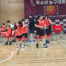 서울언남초등학교 | [서울] 강남농구교실 유소년농구 초등농구수업 언주초 언남초 겨울방학특강 , 바스농구클럽