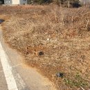 팔탄공인중개사사무소 이미지