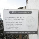 선인장식당 이미지