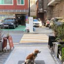 '갑자기 우연히 행복해지세요'