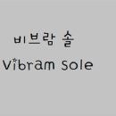 트리코니 등산화 네이버블로그