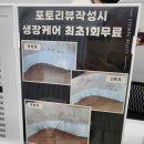 배방농업협동조합주유소 | 배방속눈썹연장 잘하는 곳 아이송뷰티 플랫모 연장 후기